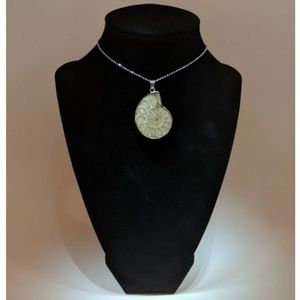 Ammonite Fossil Necklace